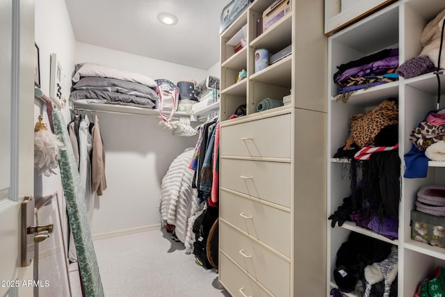 walk in closet featuring carpet