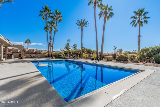 view of pool with a patio