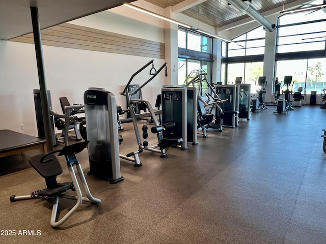 19127 E Wiki Way, Rio Verde, AZ 85263 - gym with healthy amount of natural light and a high ceiling
