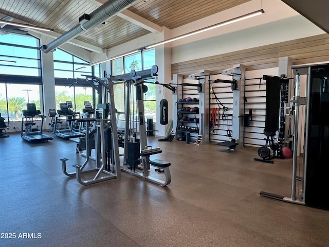 19127 E Wiki Way, Rio Verde, AZ 85263 - gym with a high ceiling