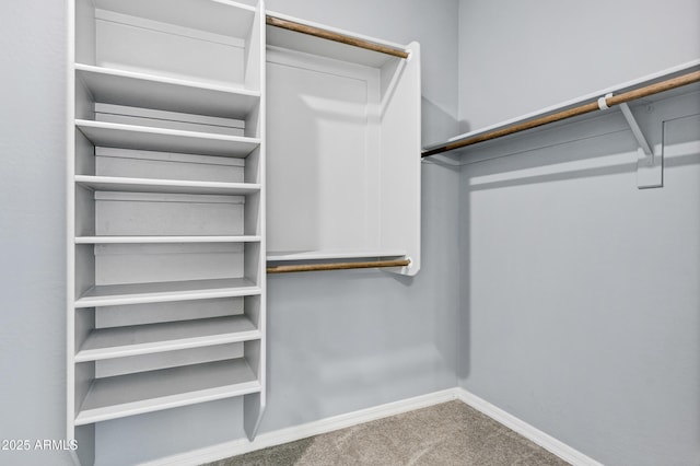 1272 W Joshua Tree Ave, Queen Creek, AZ 85140 - walk in closet featuring carpet flooring