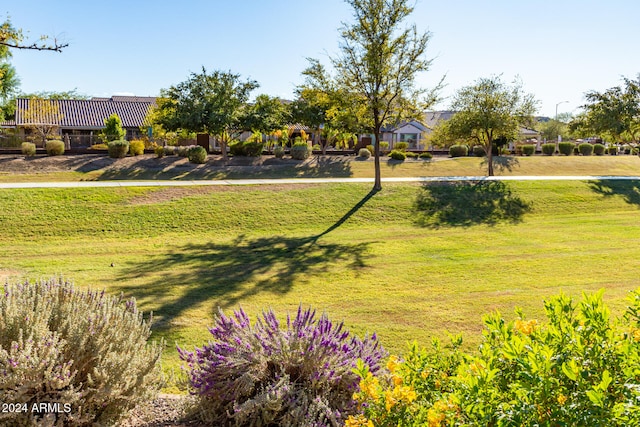 view of property's community featuring a yard