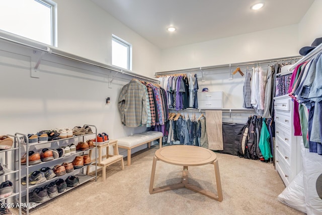 spacious closet featuring carpet floors