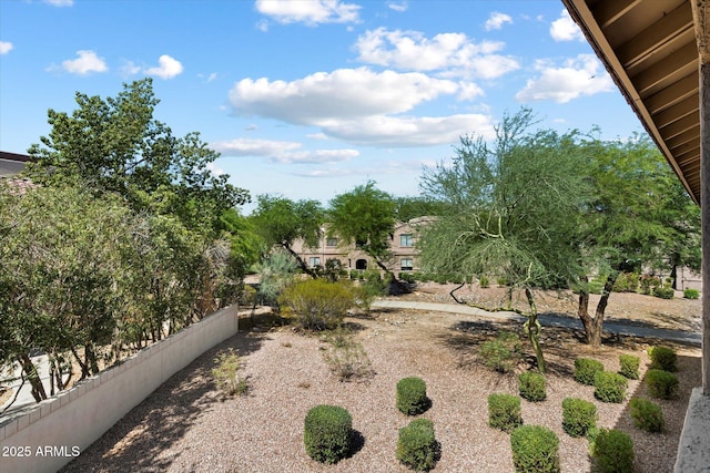 15151 N Frank Lloyd Wright Blvd Unit 2086, Scottsdale, AZ 85260 - view of yard
