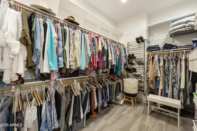 view of spacious closet