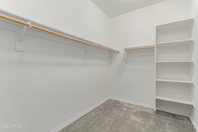 19873 W San Juan Ave, Litchfield Park, AZ 85340 - walk in closet featuring carpet