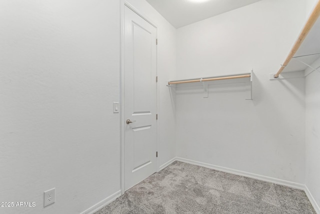 19873 W San Juan Ave, Litchfield Park, AZ 85340 - spacious closet with carpet flooring