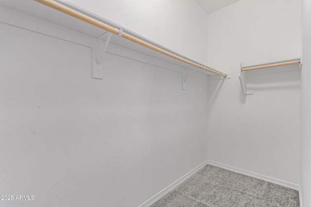 19873 W San Juan Ave, Litchfield Park, AZ 85340 - walk in closet with light colored carpet