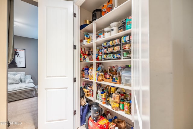 view of pantry