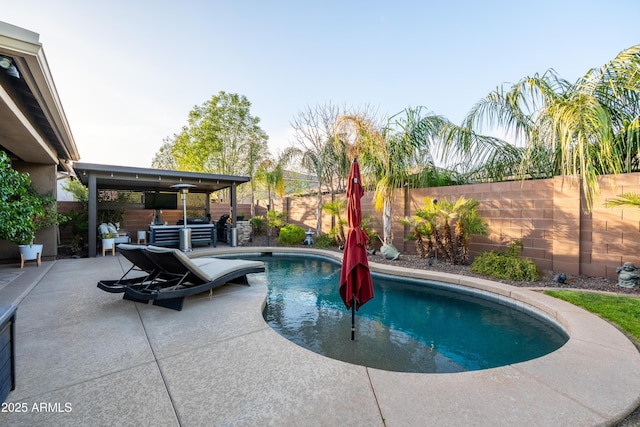 view of swimming pool featuring a patio area, a fenced backyard, and a fenced in pool