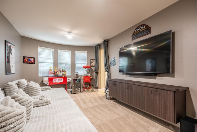 living area with carpet flooring