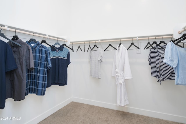 walk in closet with carpet flooring