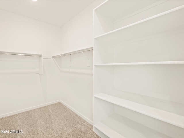 spacious closet with carpet flooring