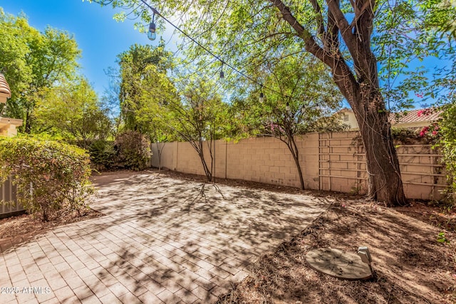 view of yard featuring a patio and a fenced backyard