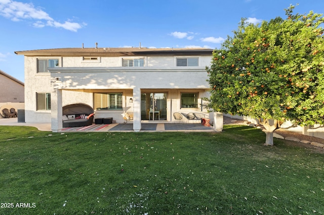 back of house with a yard and a patio area