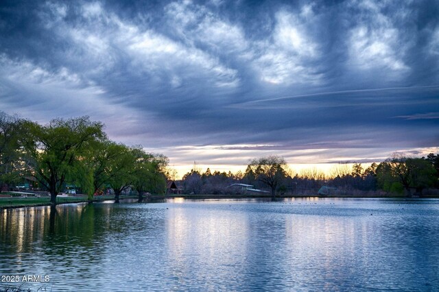 property view of water