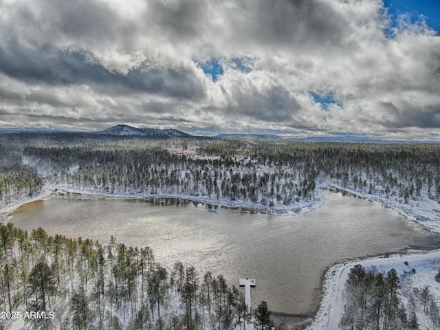 snowy aerial view featuring a water and mountain view