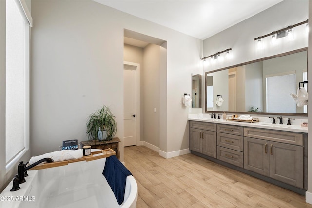 bathroom with vanity and wood-type flooring