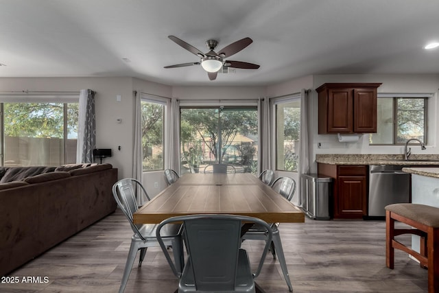 dining area with sink, ceiling fan, and light hardwood / wood-style floors