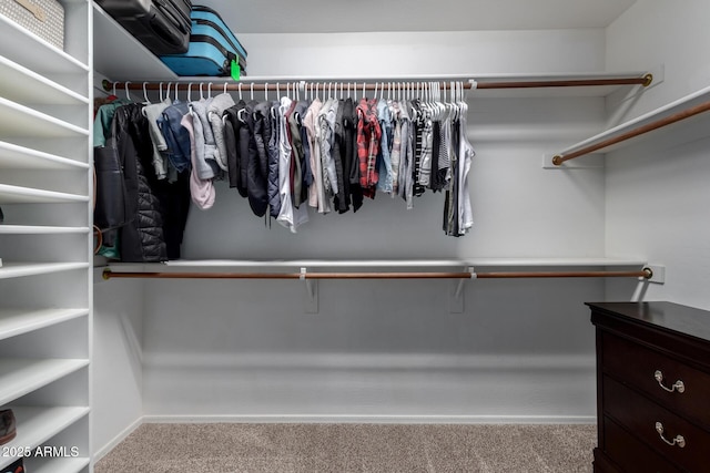 walk in closet with light colored carpet