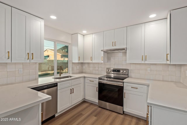 kitchen with light countertops, light wood-style flooring, stainless steel appliances, under cabinet range hood, and a sink