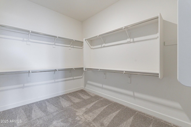 spacious closet with carpet floors