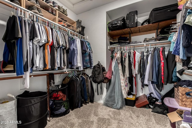 465 E Frances Ln, Gilbert, AZ 85295 - spacious closet featuring carpet flooring and attic access