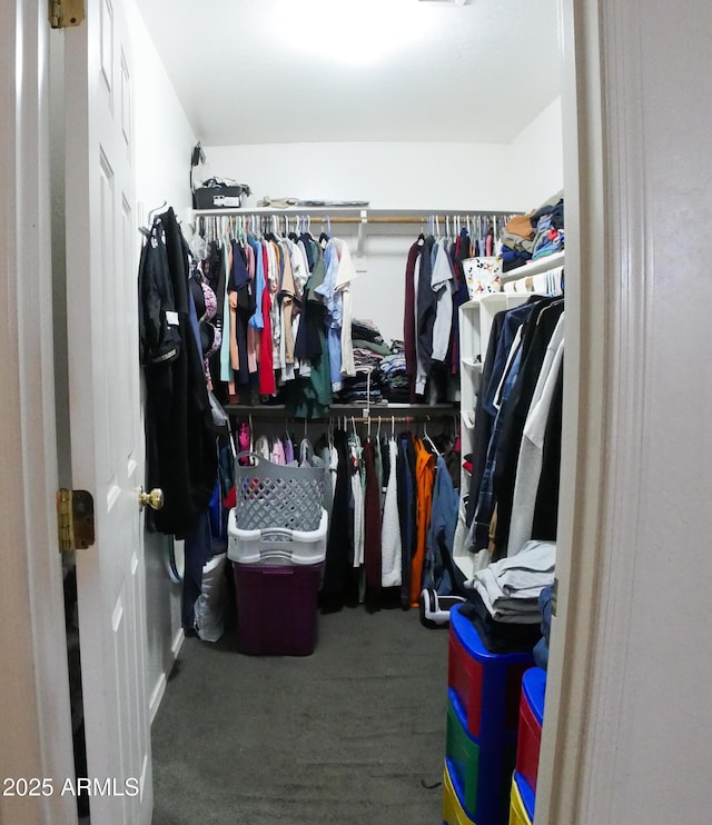2809 N 107th Dr, Avondale, AZ 85392 - walk in closet with carpet