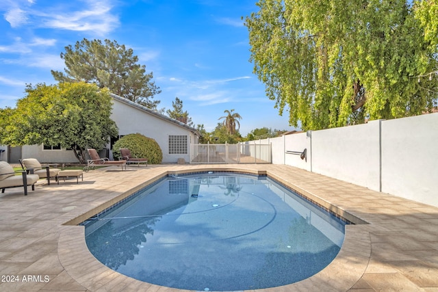 view of pool featuring a patio area