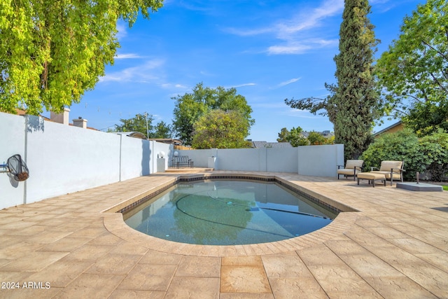 view of pool with a patio area