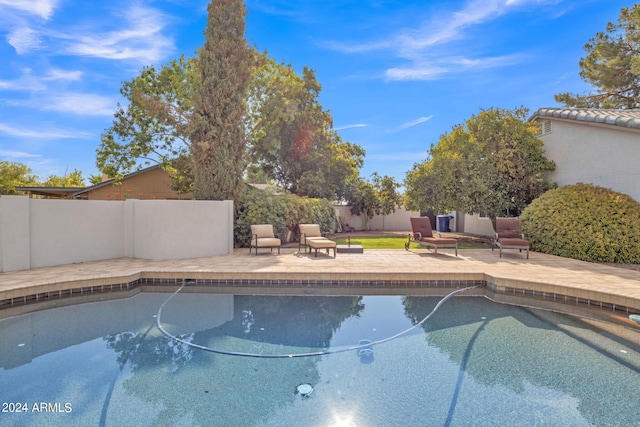 view of swimming pool with a patio area