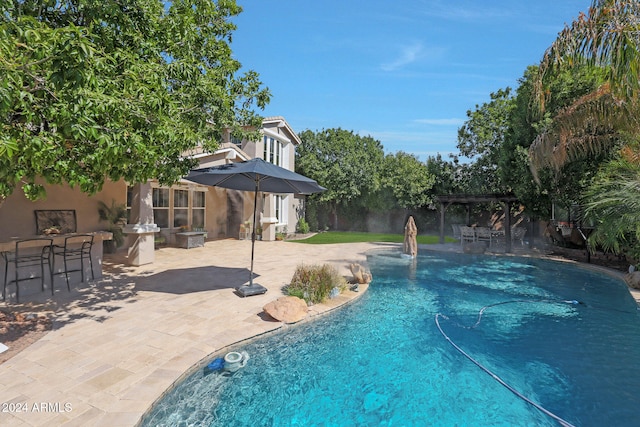 view of pool with a patio area