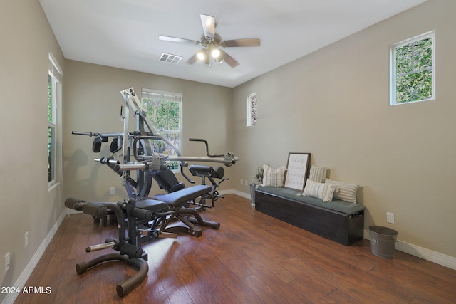 exercise area with ceiling fan and dark hardwood / wood-style floors