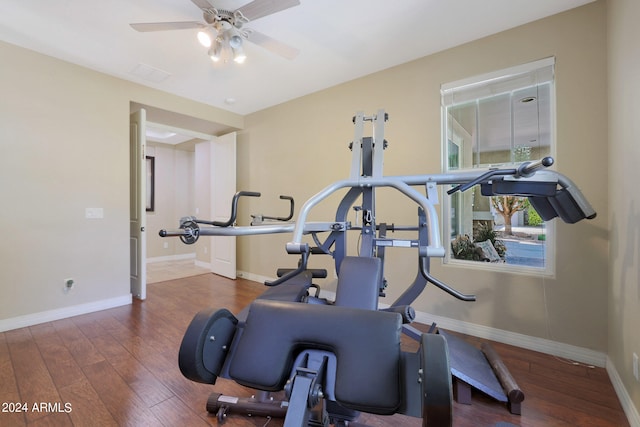 exercise room featuring hardwood / wood-style flooring and ceiling fan