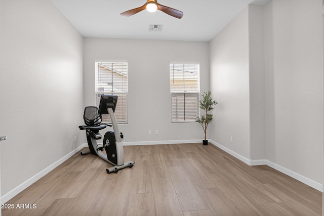20115 E Sonoqui Blvd E, Queen Creek, AZ 85142 - workout area with light wood finished floors and a ceiling fan
