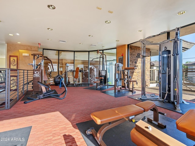 exercise room featuring a wall of windows and carpet floors