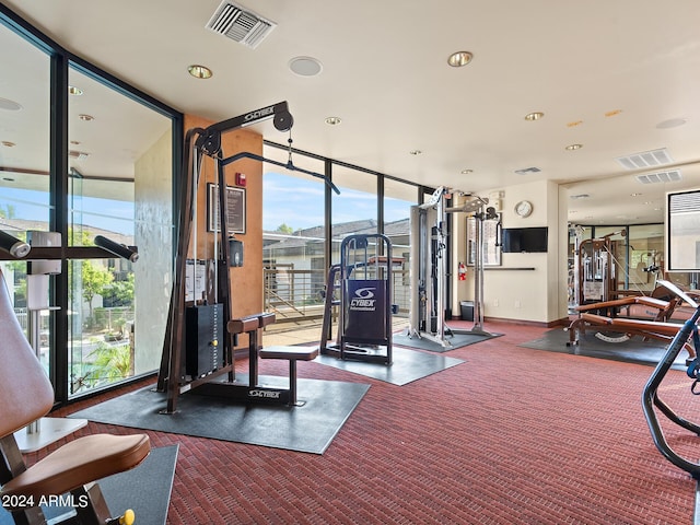 gym featuring a wall of windows and carpet floors