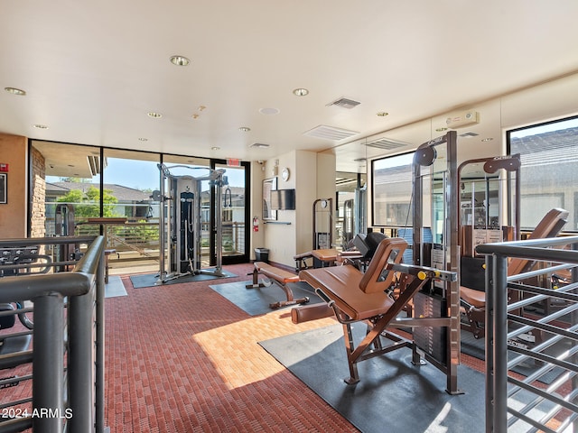 exercise room featuring carpet flooring, expansive windows, and a wealth of natural light