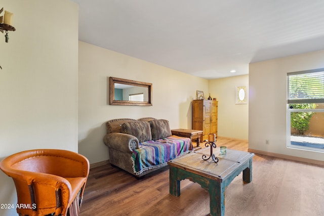 living room with hardwood / wood-style floors