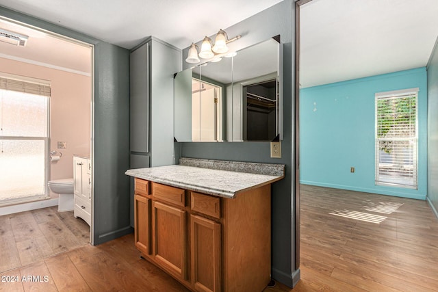 bathroom featuring toilet, vanity, a wealth of natural light, and wood-type flooring