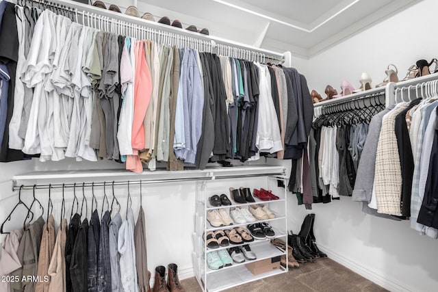 spacious closet with carpet