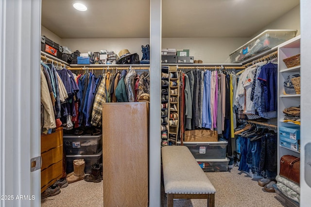 8870 Happy Trl, Show Low, AZ 85901 - spacious closet featuring carpet flooring