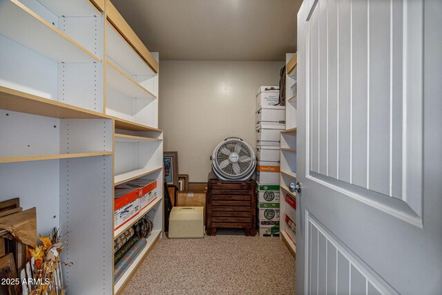 8870 Happy Trl, Show Low, AZ 85901 - view of storage room