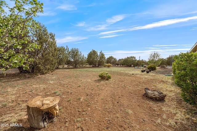 8870 Happy Trl, Show Low, AZ 85901 - view of yard