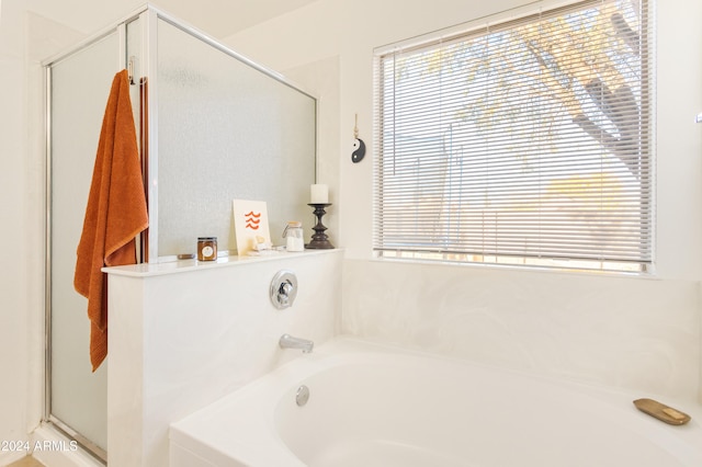 bathroom featuring a washtub