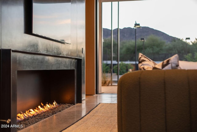 interior space with a mountain view and a fireplace