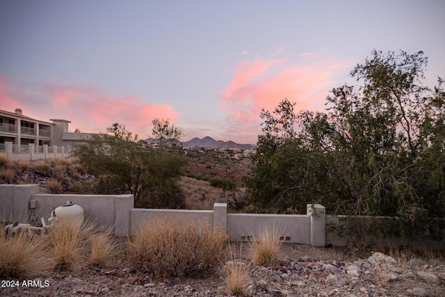 view of yard at dusk