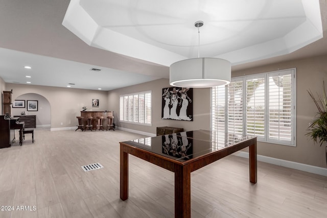 interior space with light hardwood / wood-style flooring, a wealth of natural light, and a tray ceiling