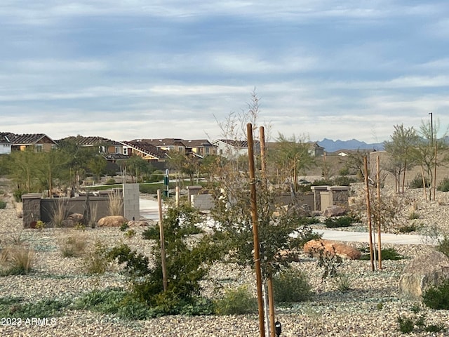 view of yard featuring a mountain view