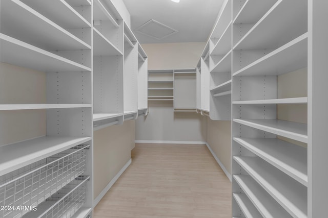 spacious closet featuring wood-type flooring